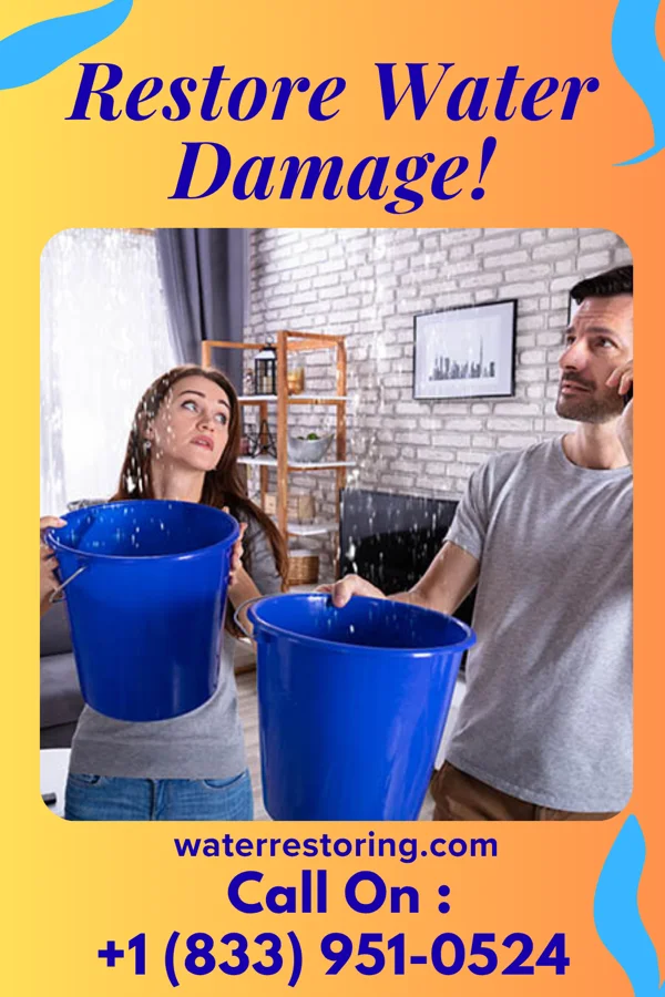 water restoration Allied Sewage Cleanup LLC Whiteash