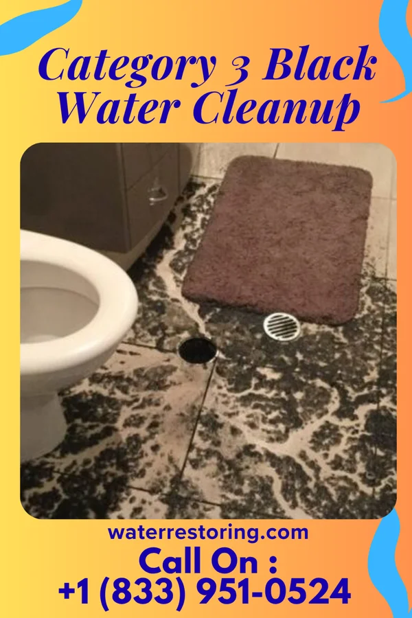 Category 3 Black Water Cleanup in Whiteash, IL