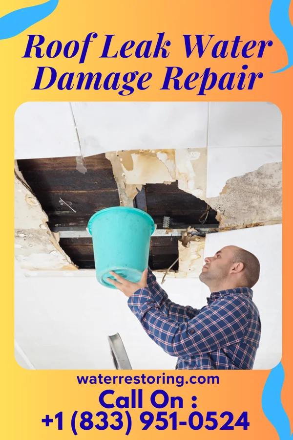Roof Leak Water Damage Repair in Whiteash, IL